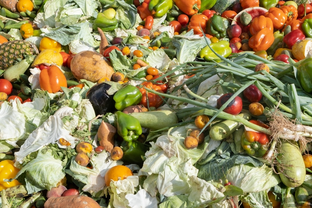 food waste background