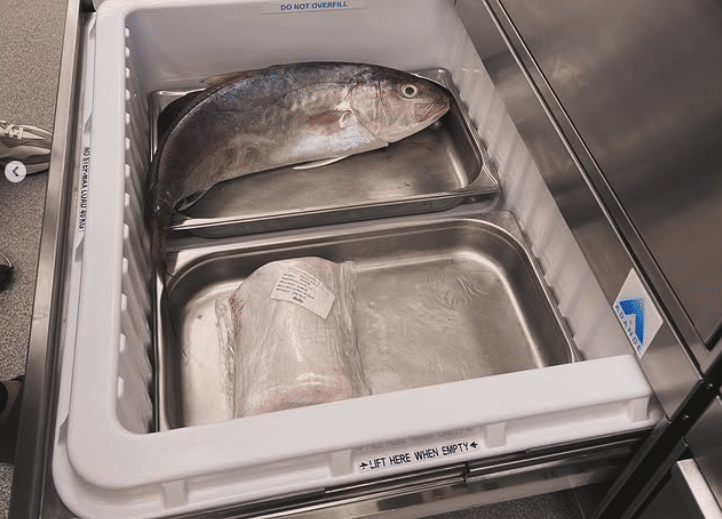 Amercian commercial refrigerator with fish inside